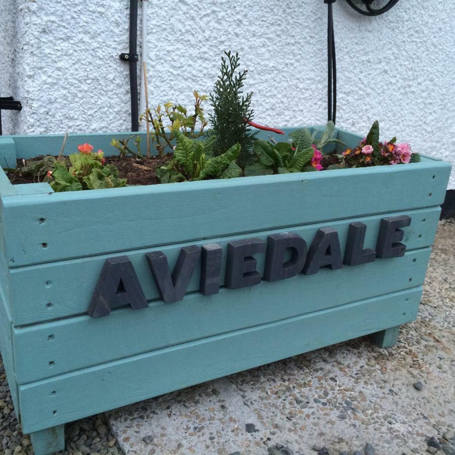Aviedale Suite Gorseness Exterior foto